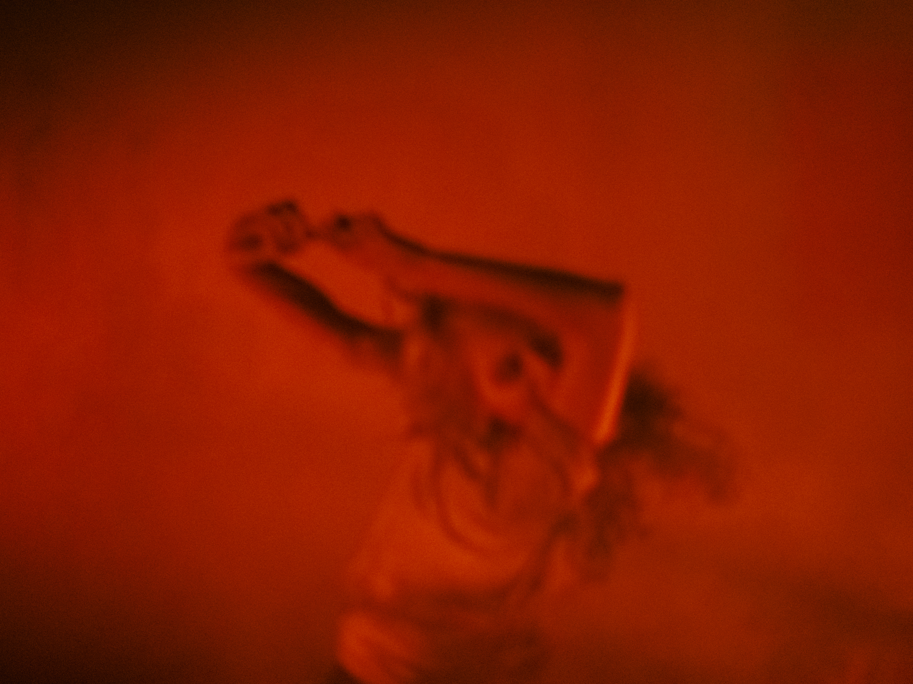 Stückentwicklung Waldspaziergang